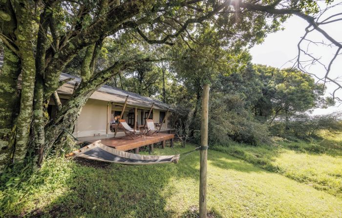 Elephant Pepper Camp