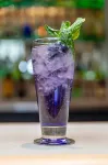 Grand Hotel & Conference Centre Calgary Airport, an Ascend Collection Hotel - bar
