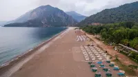 Olympos Mountain Lodge - Bintang 4