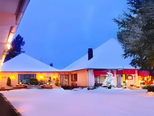 Hôtel Restaurant Au Relais d'Alsace - Parkering