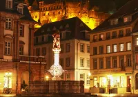 Hotel Goldener Falke - navetta aeroportuale