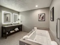 DoubleTree by Hilton Hotel Bloomington - Hot Tub