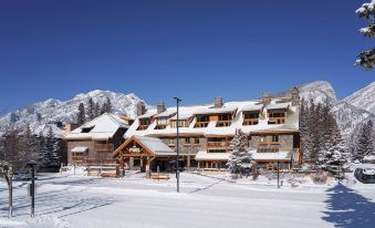 Fox Hotel and Suites