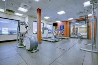 Hampton Inn & Suites Harrisburg/North - gimnasio