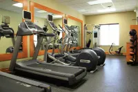 Hilton Garden Inn Houston West Katy - نادي رياضي