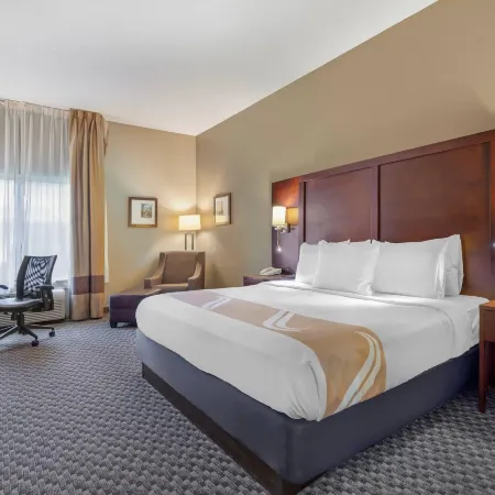 Quality Inn & Suites Ann Arbor Hwy 23