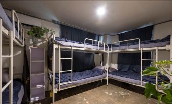 U Guesthouse in Hongdae Female Only - Hostel