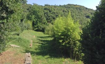 Ladoccia- Casa Piccina