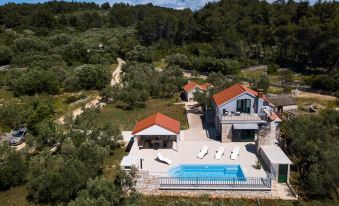 Villa with the Pool Near Vela Luka