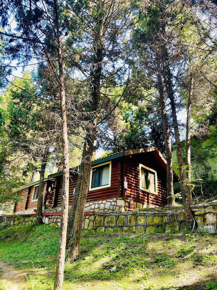 Ağva Orman Evleri Forest Lodge (Agva Orman Evleri Forest Lodge)