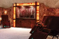 Embassy Suites San Antonio Brooks Hotel & Spa - spa