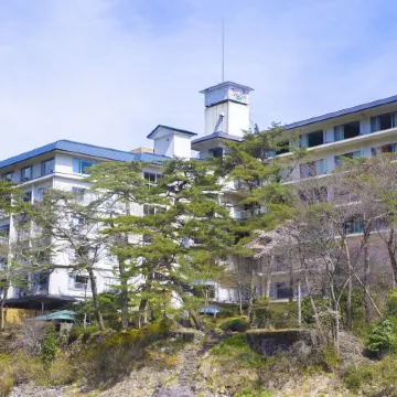 Kinugawa Onsen Hana No Yado Matsuya