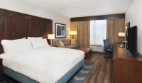 Hilton Garden Inn Burbank Los Angeles Hotels in Burbank