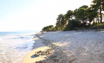 Marina Corsa Residence 3Rooms Apartment 150 m from the Beach - Ghisonaccia