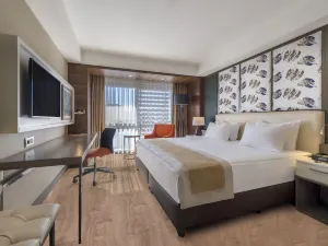 Holiday Inn Kayseri - Duvenonu