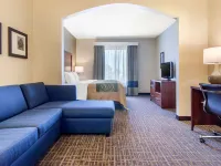 Comfort Inn & Suites Norman Near University Hotels in Norman