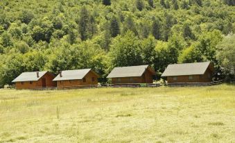 a group of small wooden cabins nestled in a forested area , with a grassy field in the foreground at Farma Sotira