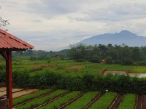 Wisma Bpi Hotels in Dramaga