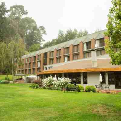 Hotel Bosque de Renaca Hotel Exterior