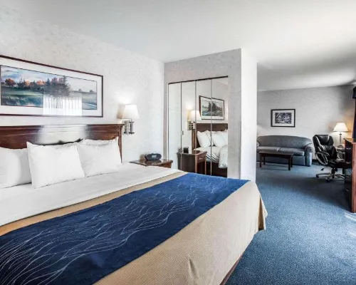 コンフォート イン ベーリングハム