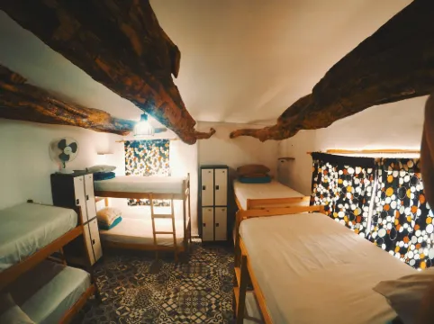 Rey Lagarto Hostel
