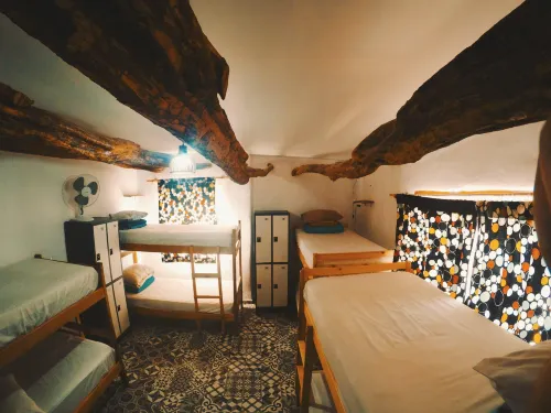 Rey Lagarto Hostel