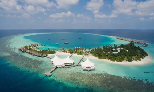 Safari Island