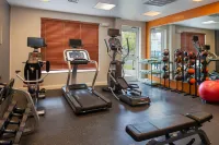 Hilton Garden Inn Baton Rouge Airport Hotels in East Baton Rouge Parish