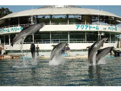 ホテル周辺 リブマックスリゾート伊豆下田の写真