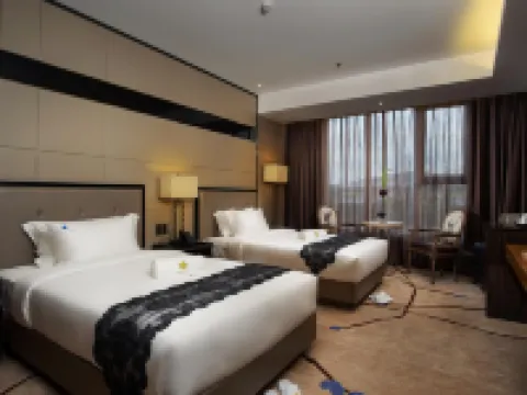 ロータス ブルー ホテル レガスピのホテル