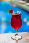Coconut Boutique Resort - bar