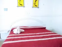 Capital O Hotel Partidor Del Sol, Oaxtepec - Bintang 2