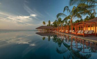 a large swimming pool surrounded by palm trees , with several lounge chairs and umbrellas placed around the pool at The Residence Maldives at Dhigurah