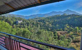 Nature View Cottage