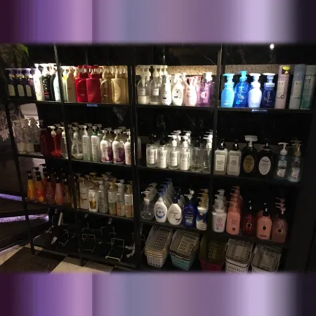 Hotel Starresort I Отели в г. Токородзава