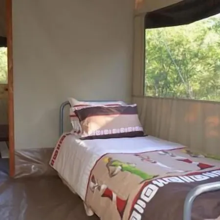 The Wild Olive Tree Camp
