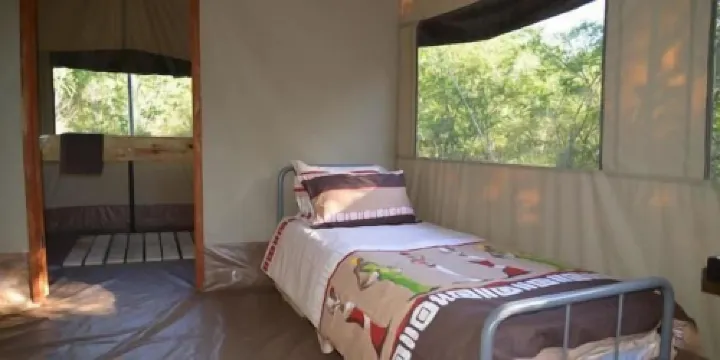 The Wild Olive Tree Camp