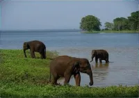 Dil Lanka Safari Resort Hotels in Embilipitiya