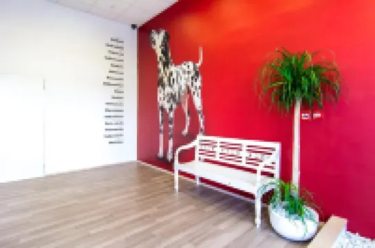 達爾馬迪娜克101設計旅社