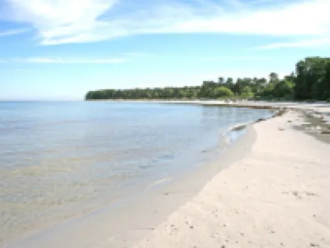 "Algeth" - 350m from the Sea