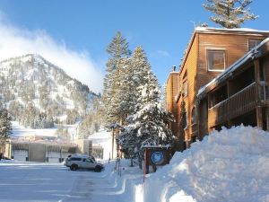 One Bedrooms at Snowbird Condos Slopeside - Free Wifi & Assigned Parking!