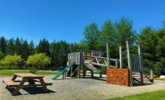 a playground with a slide , jungle gym , and picnic table is set up in a grassy area at Beaver Lake Resort