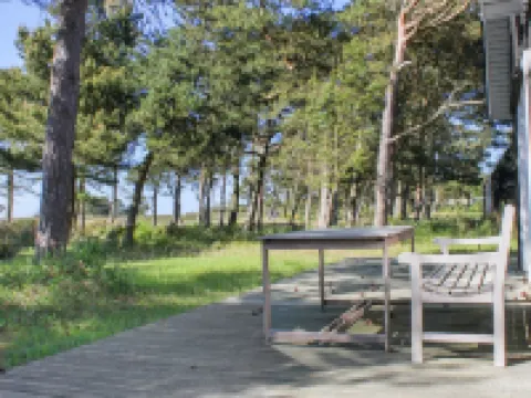 "Hatem" - 200m from the Sea