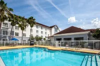 Homewood Suites by Hilton Gainesville - Kolam Renang