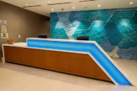 SpringHill Suites Newark Fremont Hotels in Fremont