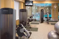 Hampton Inn & Suites by Hilton Downers Grove Chicago - Gym