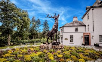 a deer statue in a garden with flowers and a white building in the background at Dunkeld House Hotel