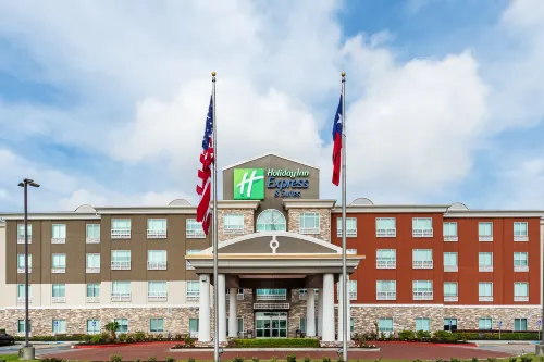 Holiday Inn Express & Suites HOUSTON SPACE CTR - CLEAR LAKE by IHG
