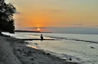 Barton Beach Inn - วิวทะเล