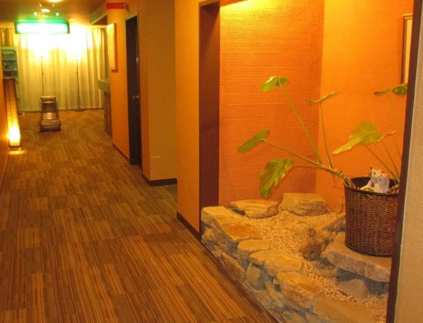 Sendai Akiu Onsen Annex Ren